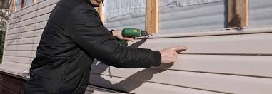 Best Vinyl Siding Installation  in Alum Rock, CA